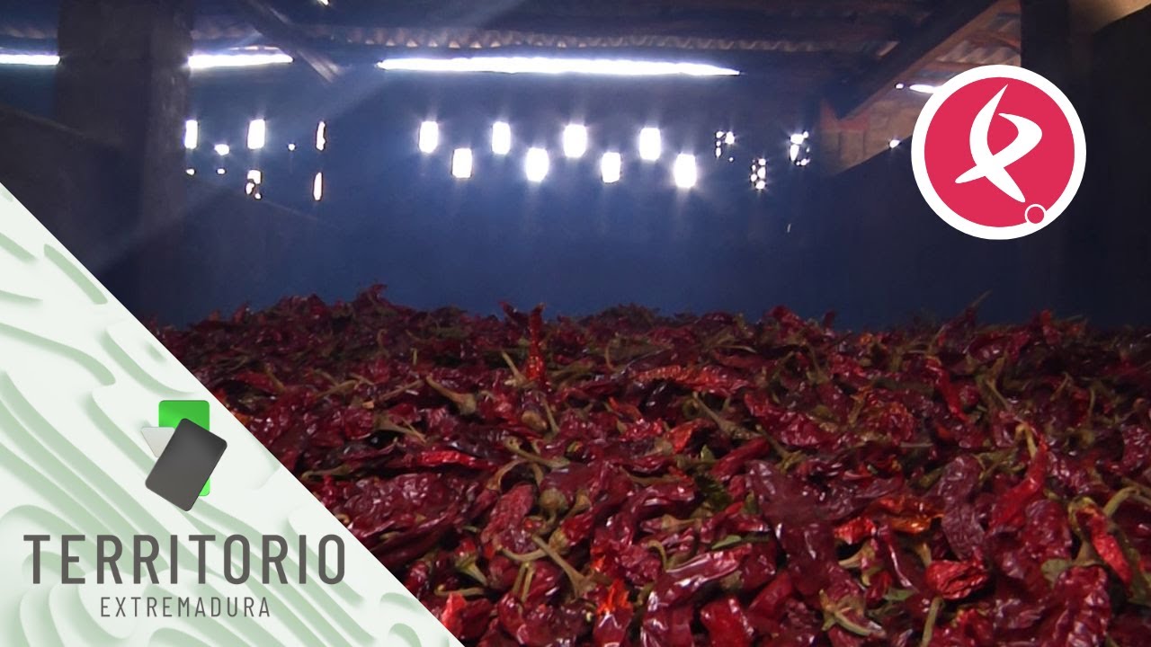 La elaboración del pimentón de La Vera | Territorio Extremadura