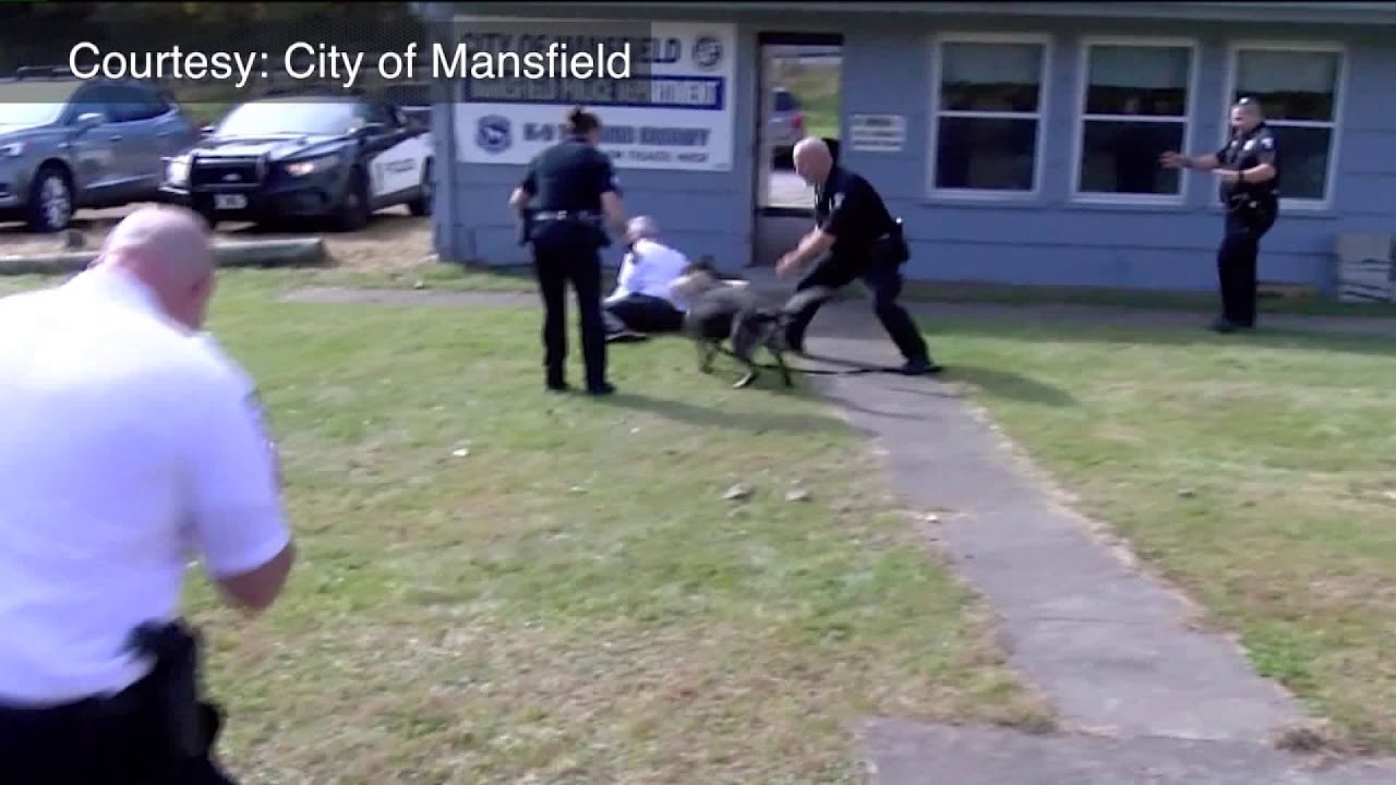 Ohio Mayor Recovering After Police K9 Takedown