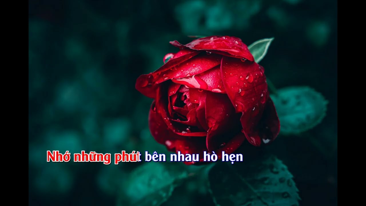 KARAOKE TÌNH YÊU NHIỆM MẦU - SINGMYSONG ĐÀO MINH TÂM SUNO