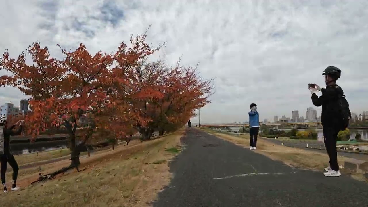 Cycling to Old Iwabuchi Watergate | Autumn leaves in Tokyo