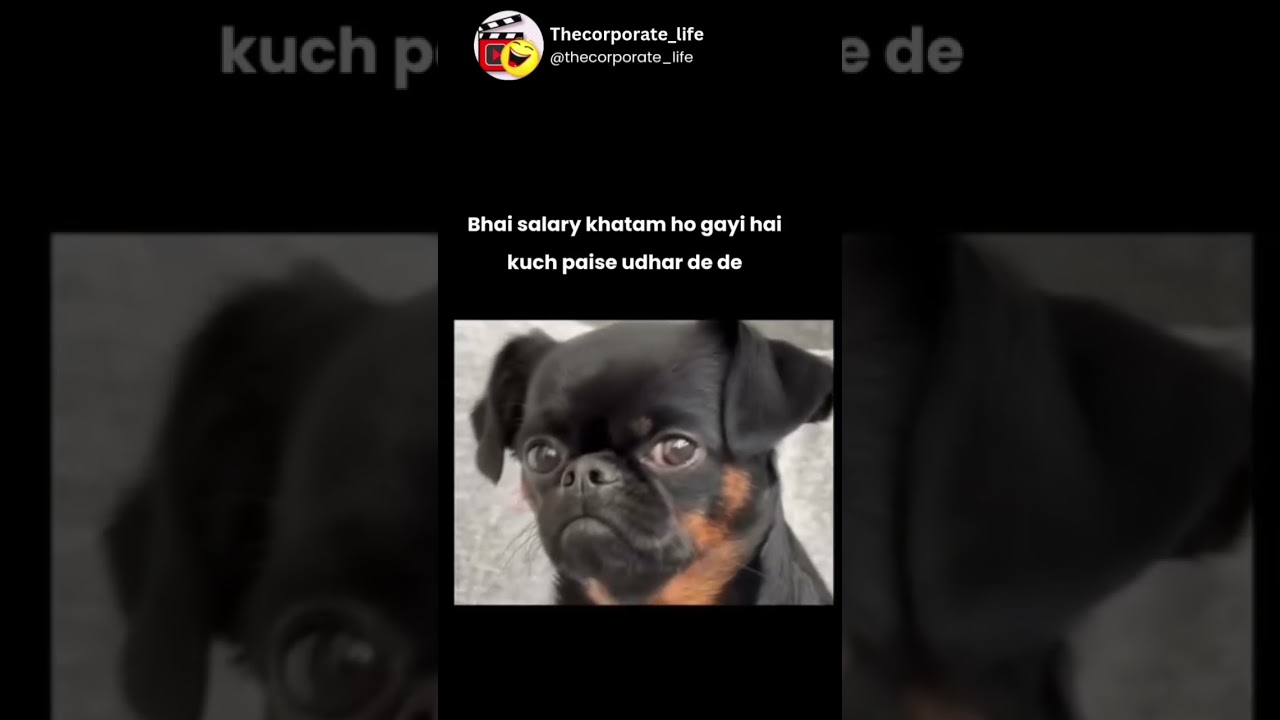 #employeememes #corporatelifememes #corporatememes #officememes #shortvideo