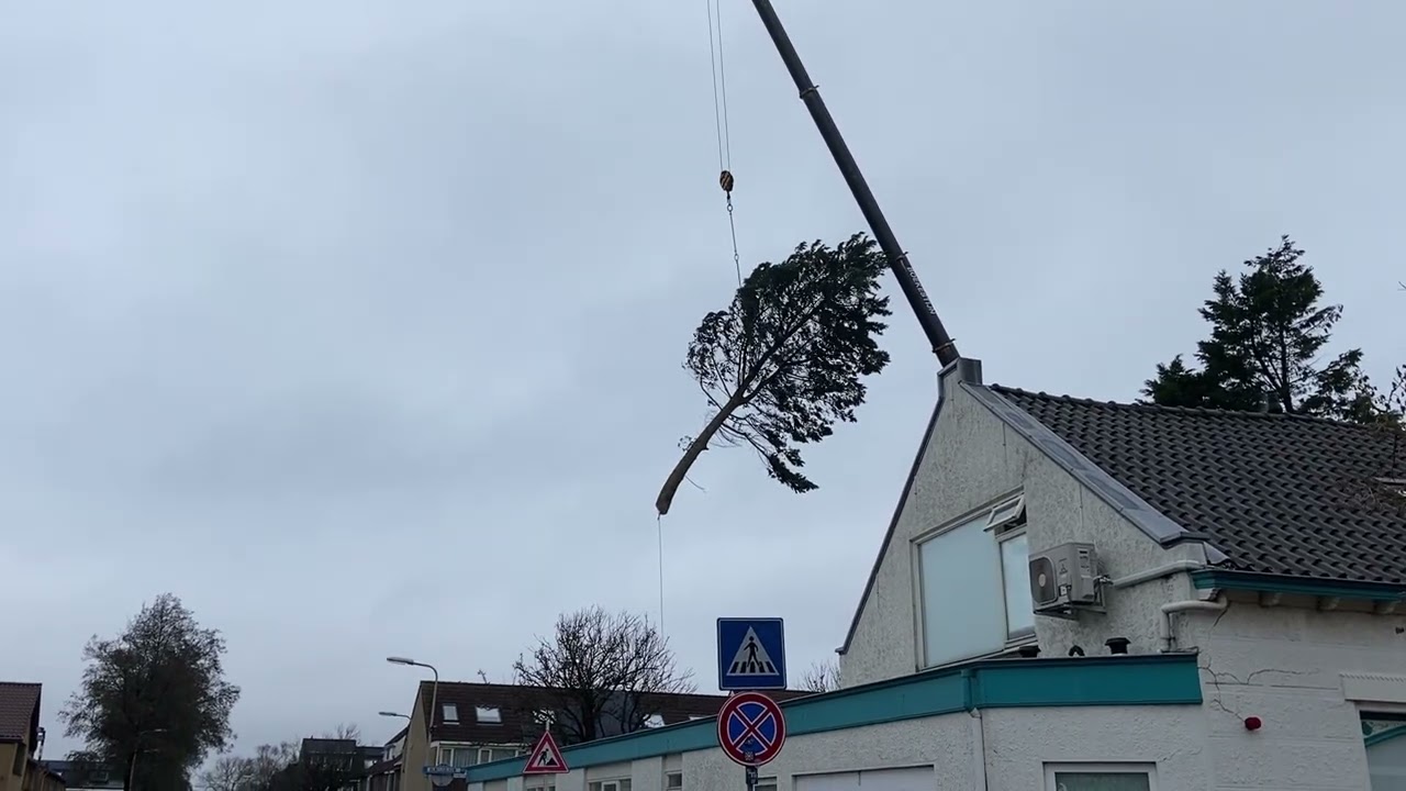 Wat bungelt daar in de lucht?