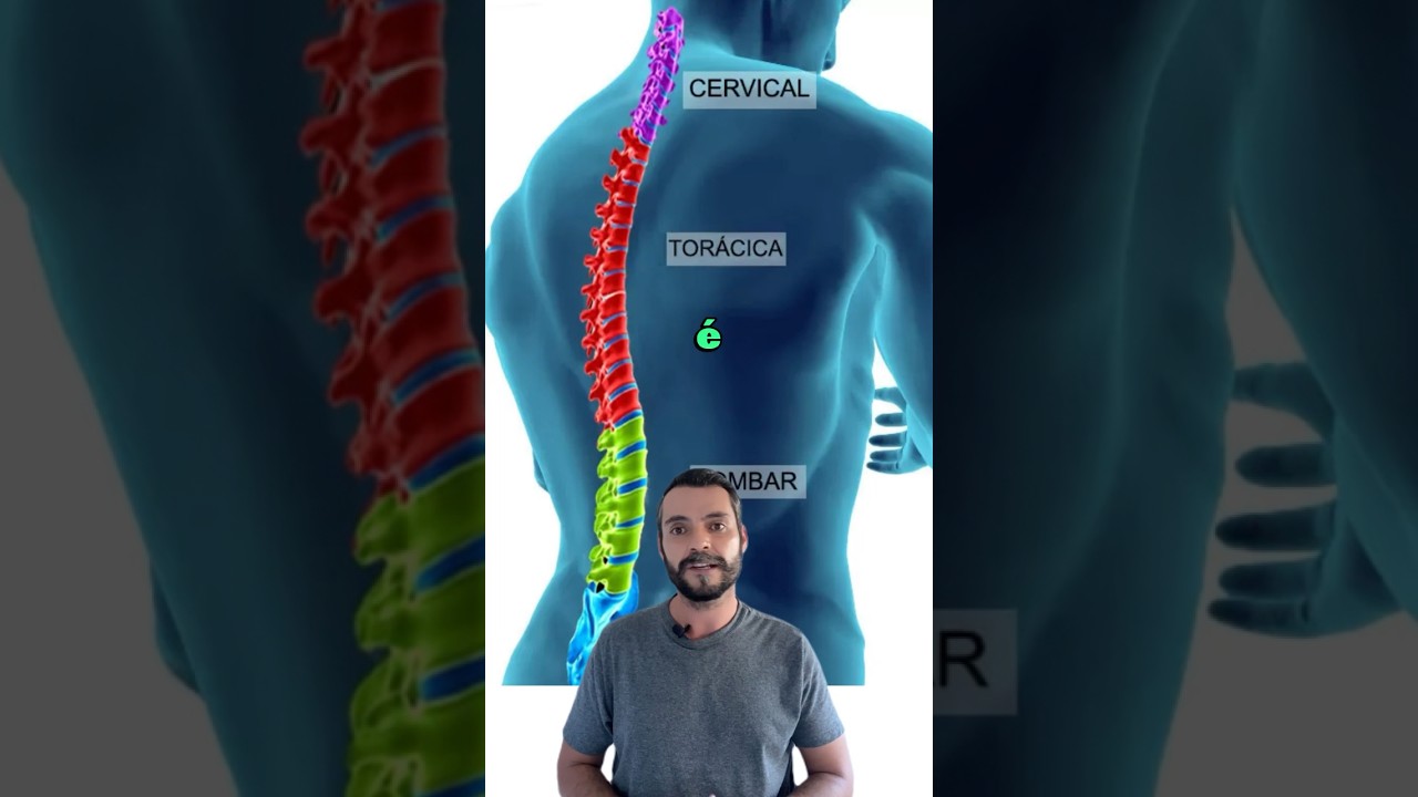 Como a COLUNA VERTEBRAL &eacute; formada? | Tudo com Ci&ecirc;ncia #biologia #educa&ccedil;&atilde;o #coluna vertebral