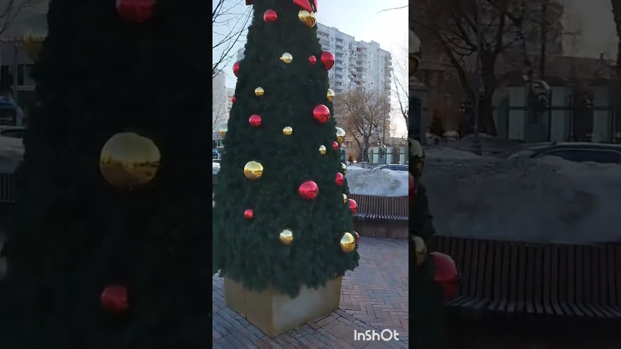 Прогулка в Сокольниках!