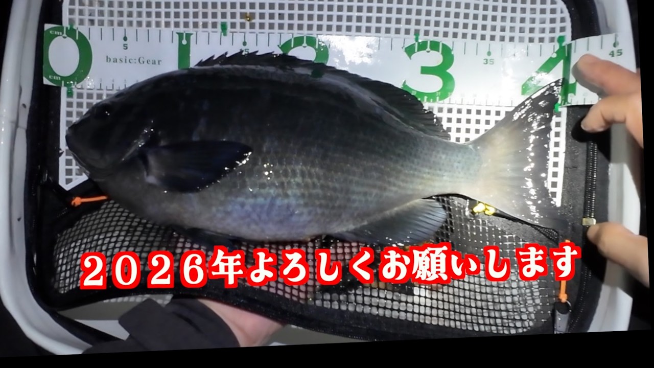 【２０２６年２月２日南伊豆】　今年最初の投稿で４０クリア