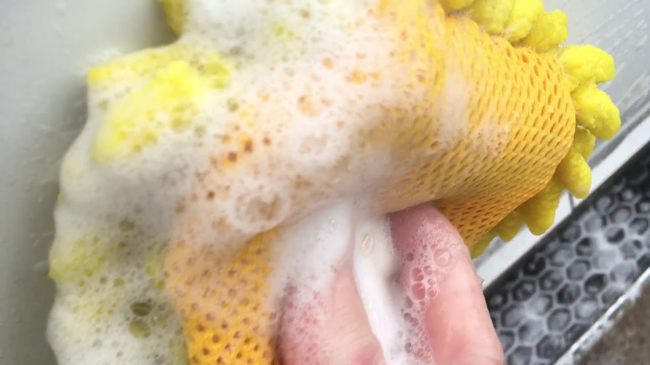 Artillery Fungus Removal Quick and Simple