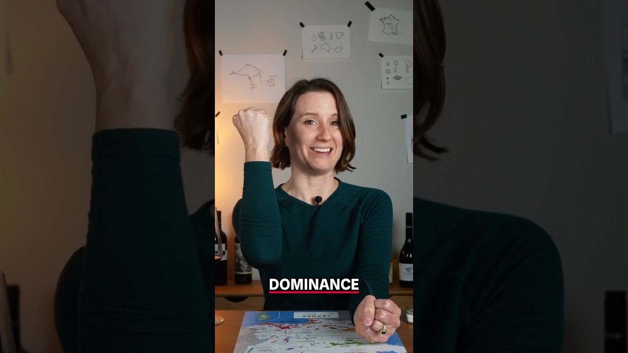 France: The original wine influencer 🍷🇫🇷