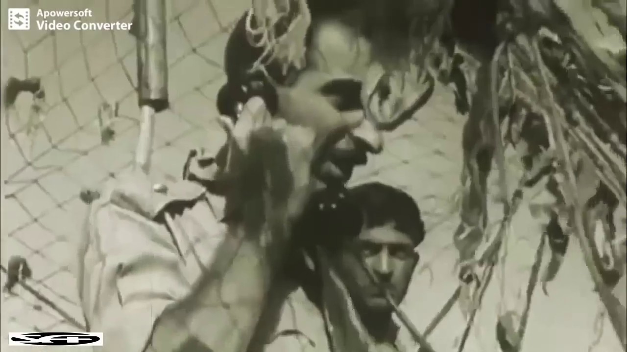1965 War footage of Pakistan Army in combat