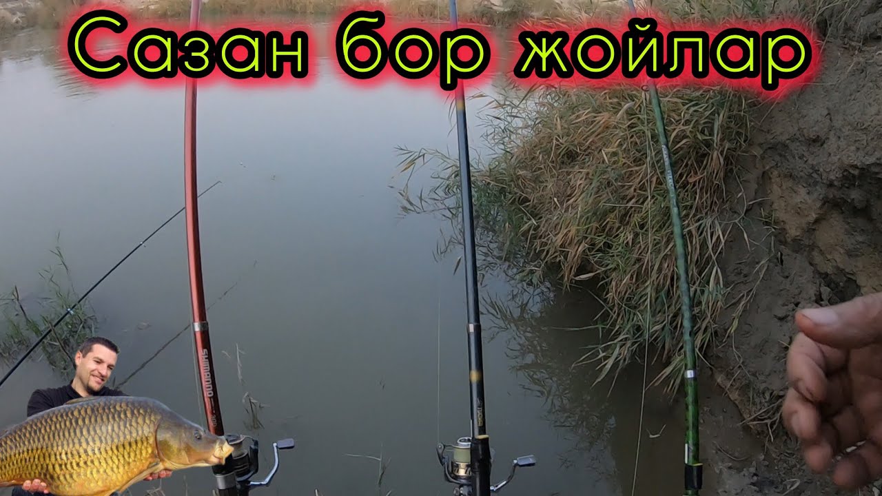 САЗАНЛАР ИЛТИМОС КИЛЯПТИ