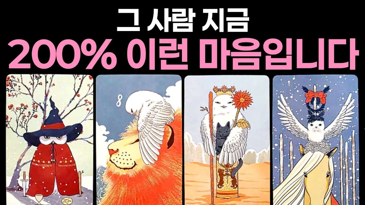 [타로] 그 사람 지금 200% 이런 마음입니다🌹