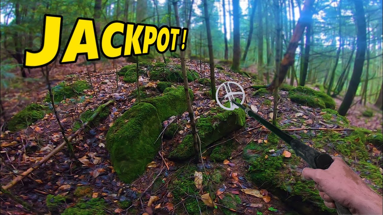 De l'OR dans cette For&ecirc;t ! D&eacute;tection de m&eacute;taux - Terre Happy