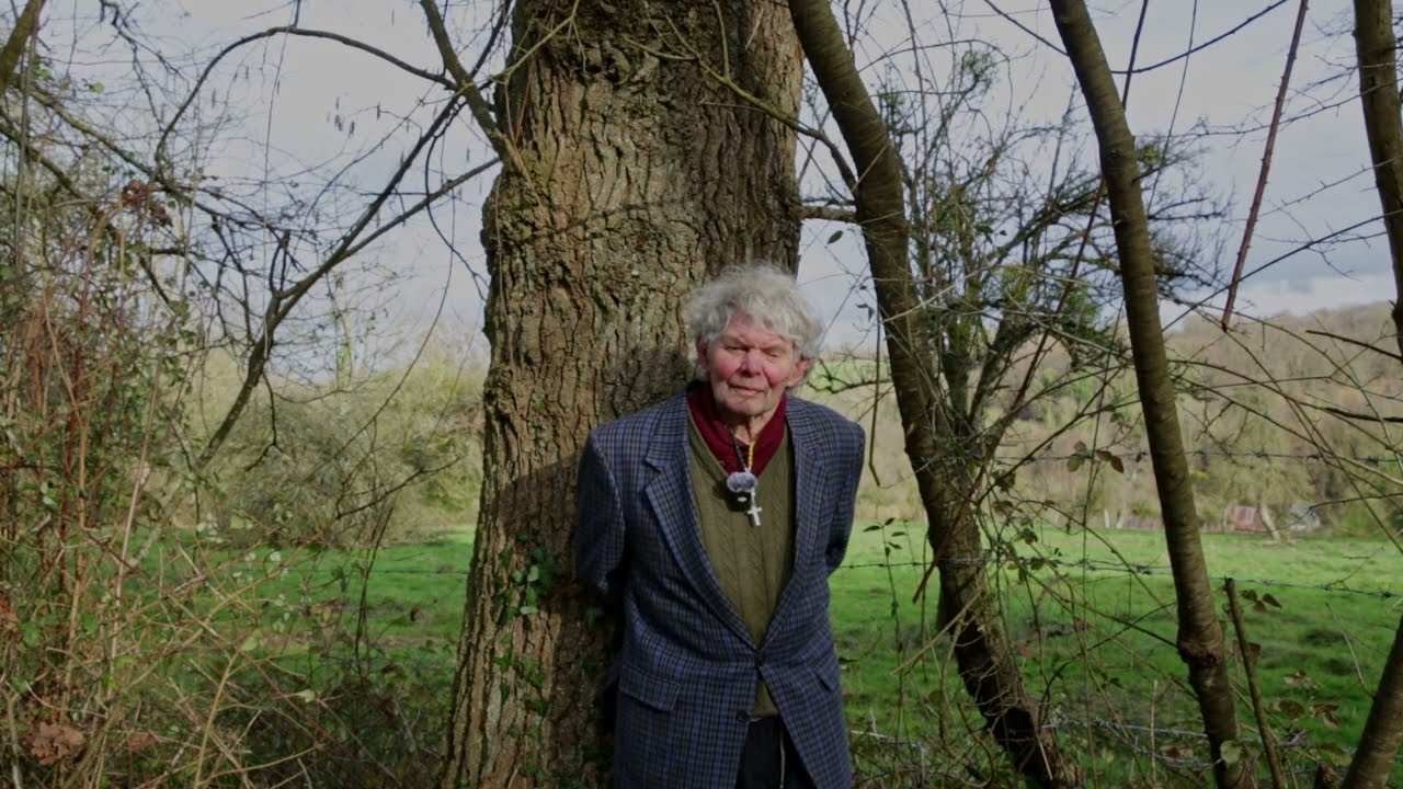 La Création au secours de arbres