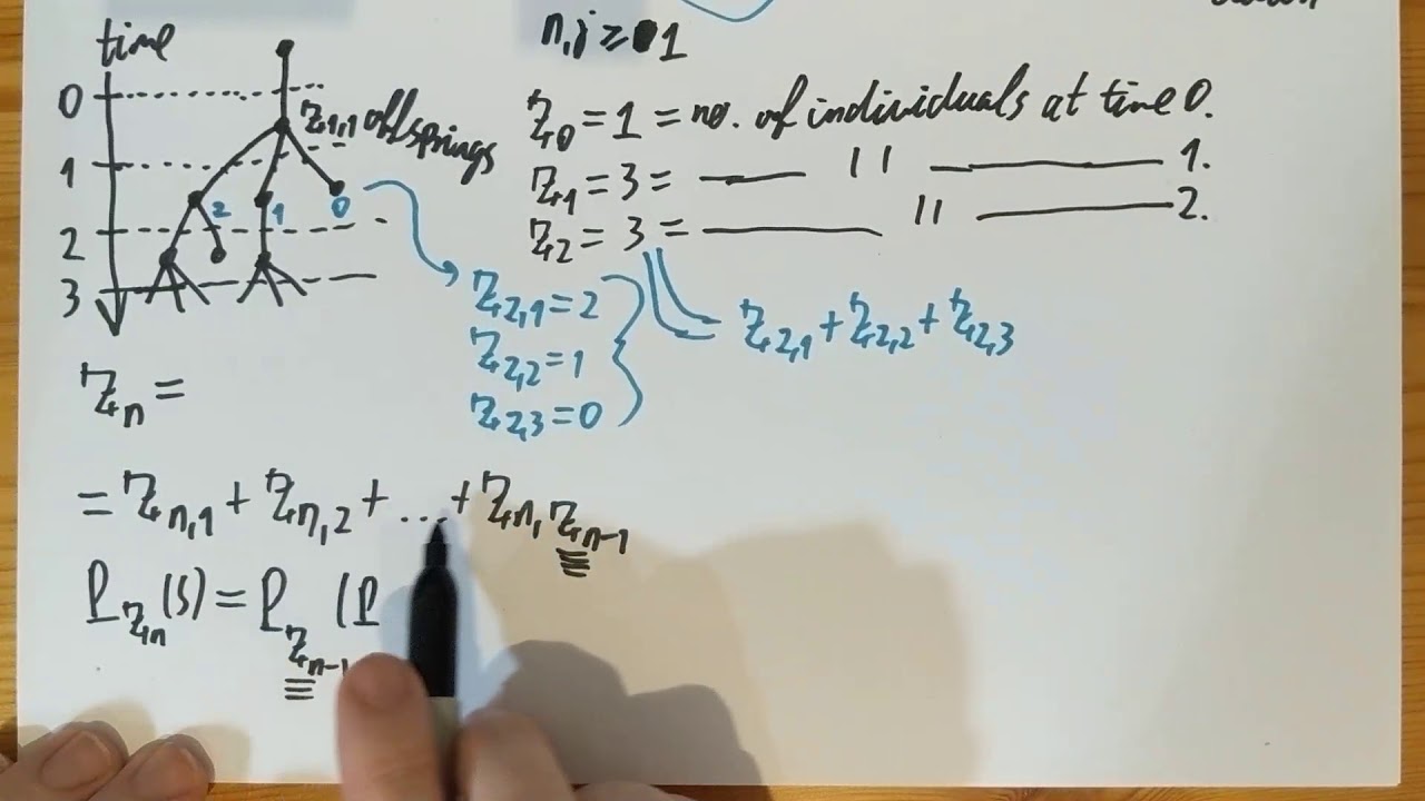 FTiP21/26. Galton-Watson process