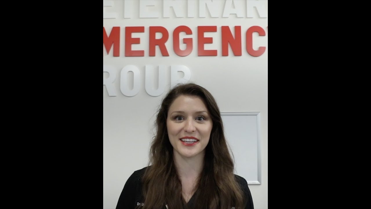 A Day in the Life of Dr. Bethany Weinheimer - Hospital Edition