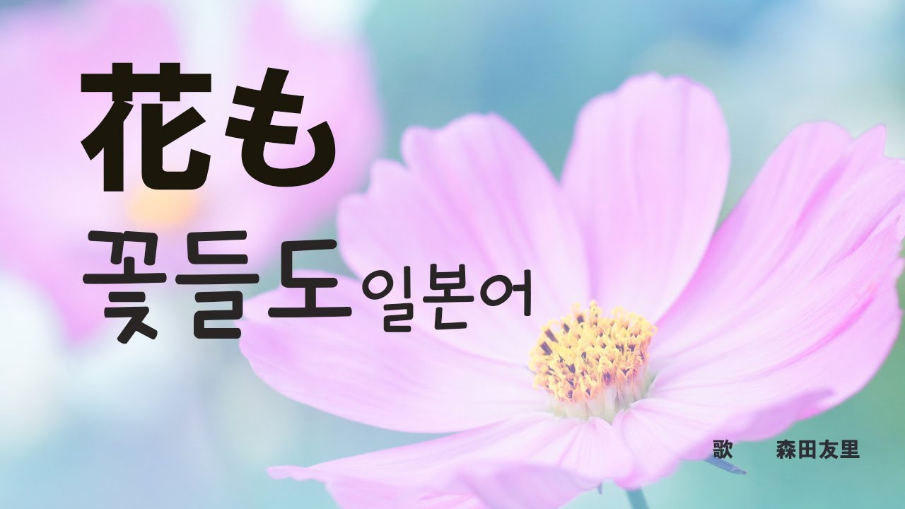 花も 꽃들도 일본어 Hanamo 한글자막