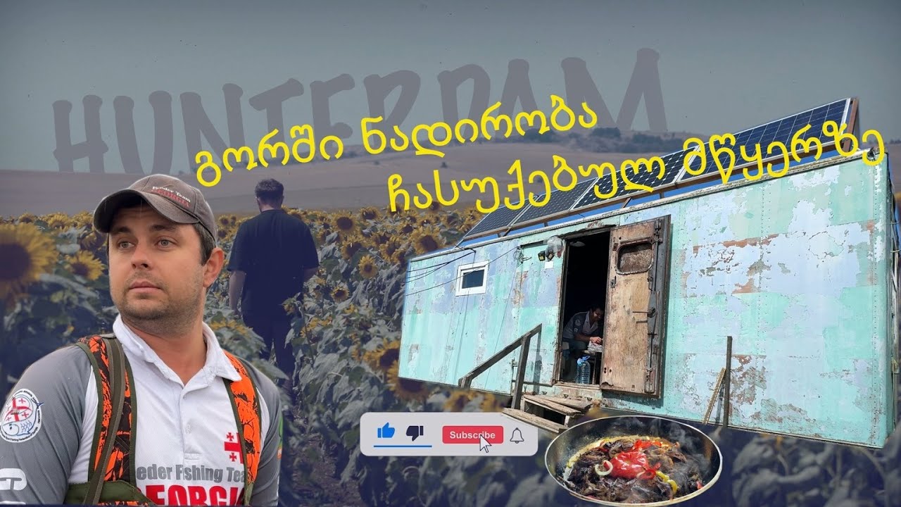 ძალიან მაგარი ნადირობა გორში ბრეტონებით