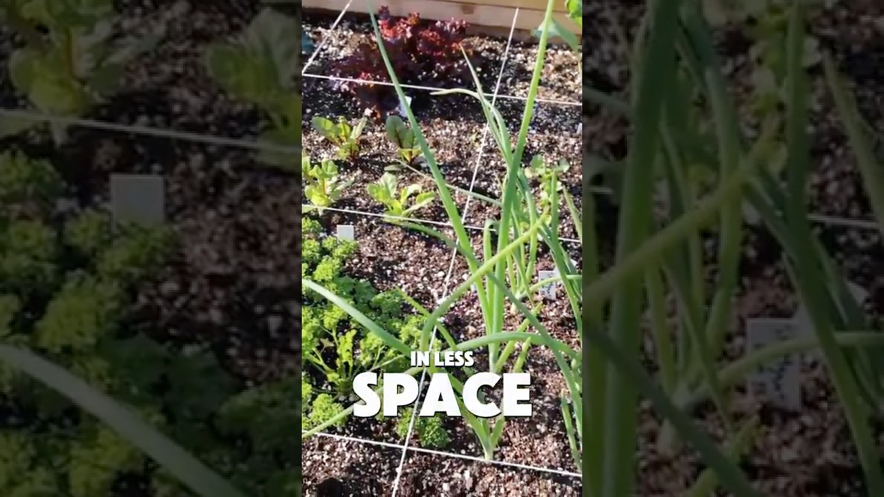 The $2 Grid That Tripled My Square Foot Garden Harvest