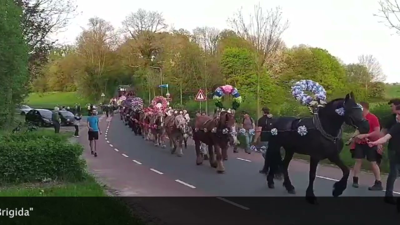 Sint Brigida Denhalen 2024 - Noorbeek