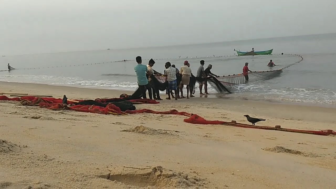 Net Fishing at Kodi Beach Kundapur