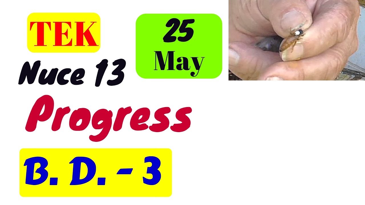 B. D. - 3 Nuce Progress