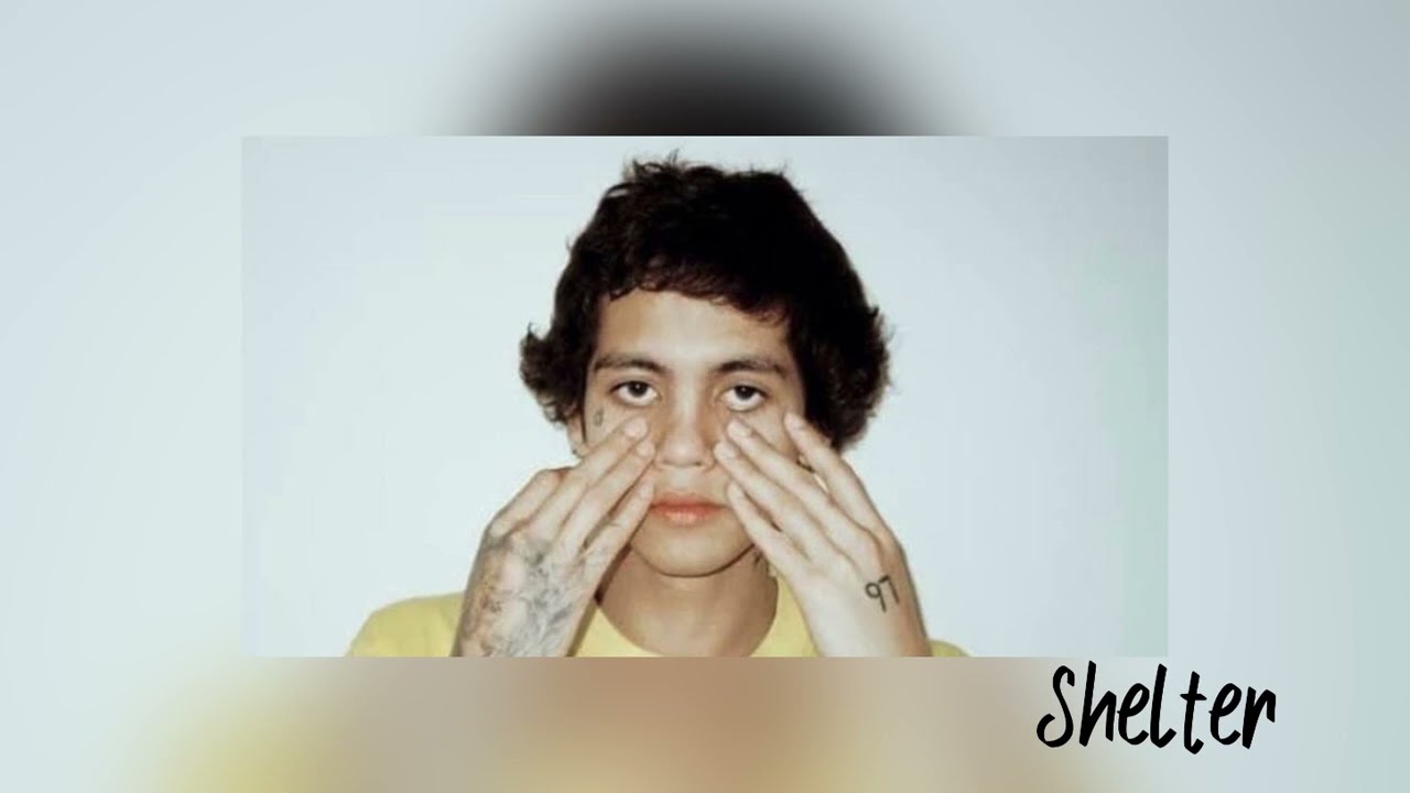 Dominic Fike: Shelter and Piece of Mind (Unreleased)