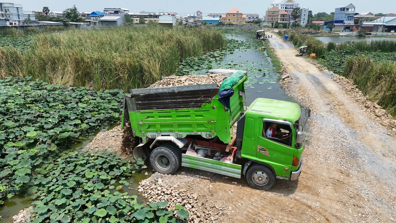 Beautiful Land Filling On Lotus Pond Fields Dozer Pushing Stone & Soil Vs 5ton Dumper Unloading