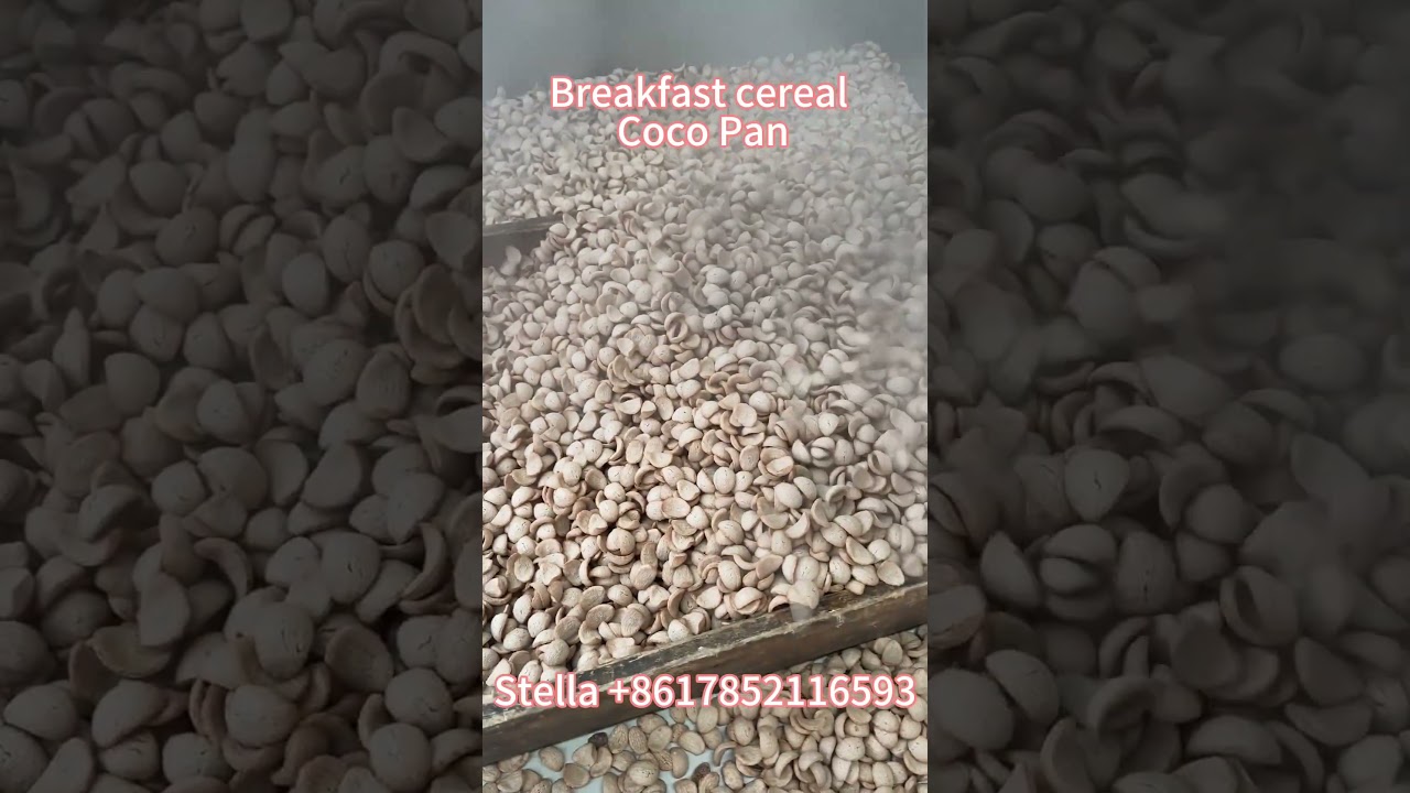 Breakfast cereal Cocoa powder made cocoa pan extrusion food machinery