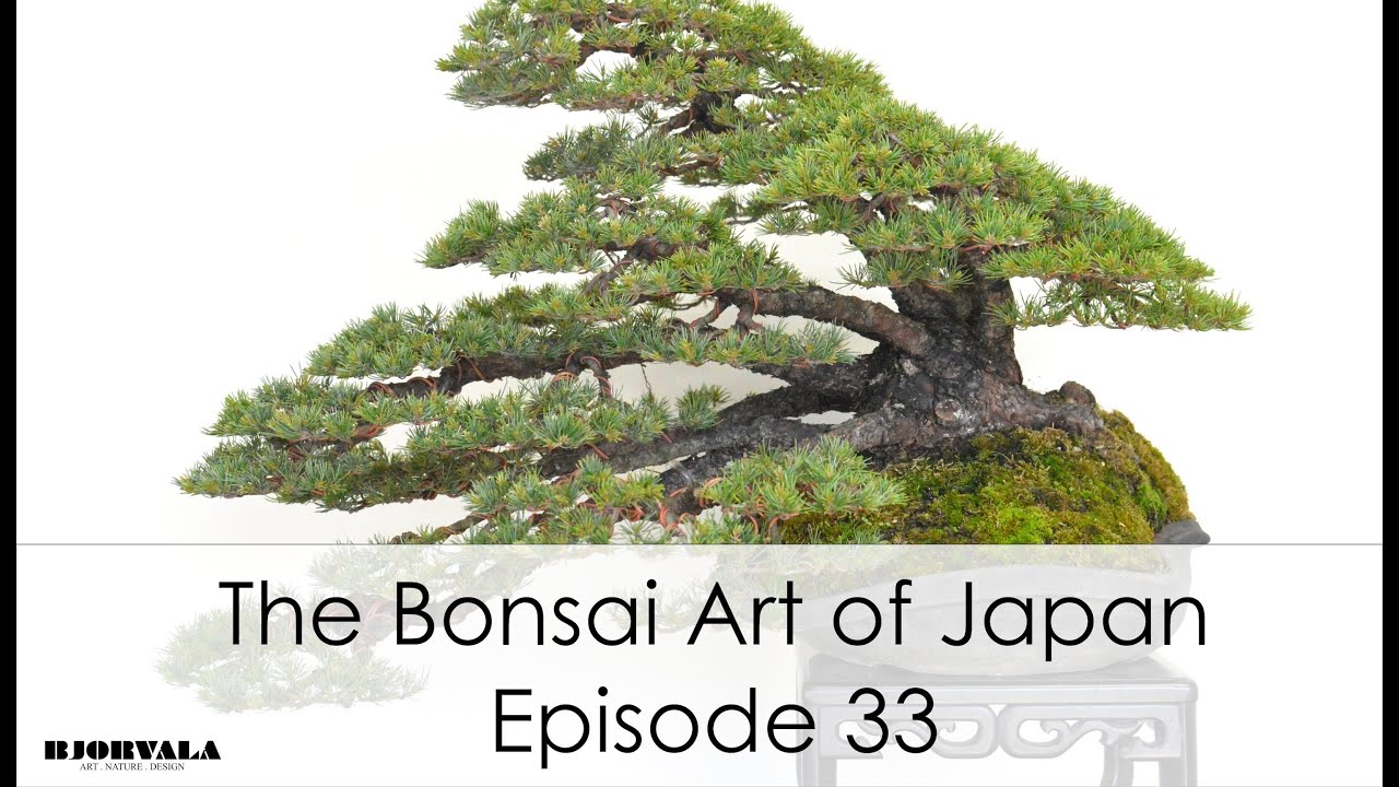 The Bonsai Art of Japan - Episode 33