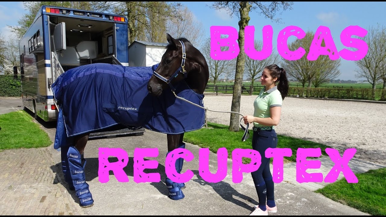 Mijn favo paarden deken! Bucas Recuptex| Danielle van Mierlo