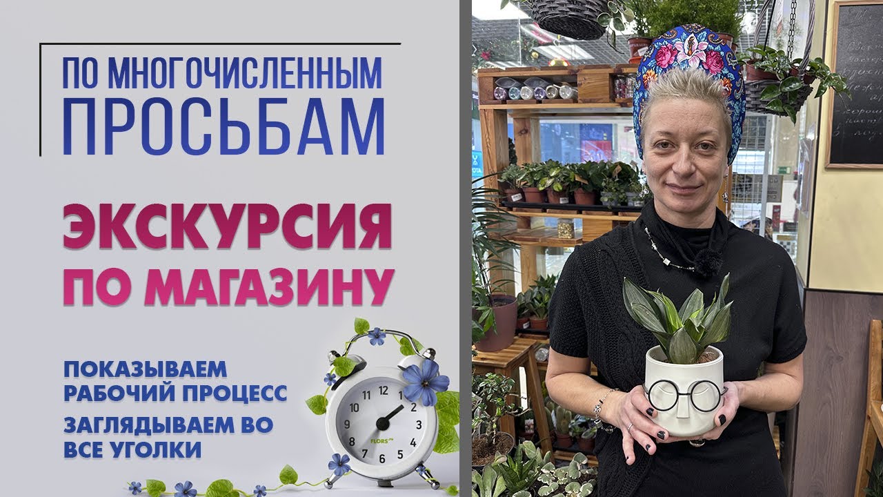 Экскурсия по моему цветочному магазину. Все тайные уголки и закрома. Ведьминский уголок изнутри.