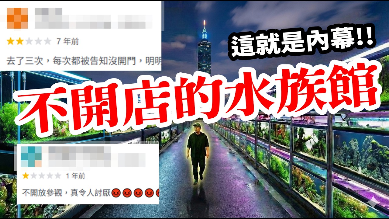 原來魚缸不用自己洗？揭開「魚缸管家」神祕行業