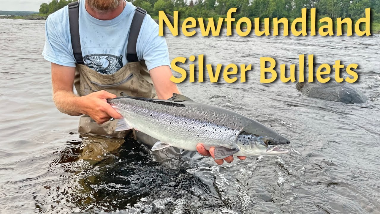 Newfoundland Salmon - Arluk Outfitters