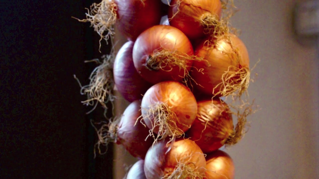 come INTRECCIARE cipolla e aglio - tecniche di Agriculture Evolutive CAMPOMADRE Alessandro Montelli