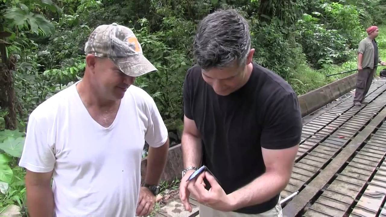 Morphos Diurnal Insect Collecting - Central America: Day 2