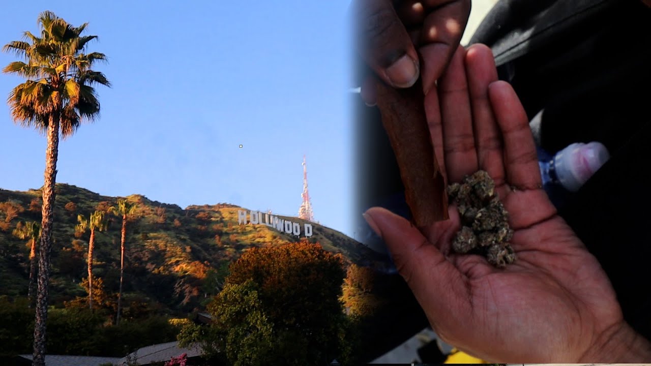 A DAY IN THE LIFE OF A STONER 🍃😮&zwj;💨 - LA VLOG PART 2 ☀️🌴