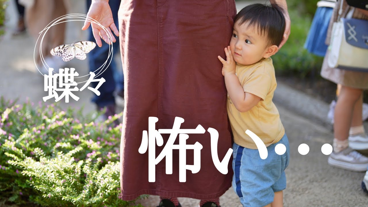 初めての動物園！突然ちょうちょに距離を詰められて怖がる1歳児が可愛すぎる！