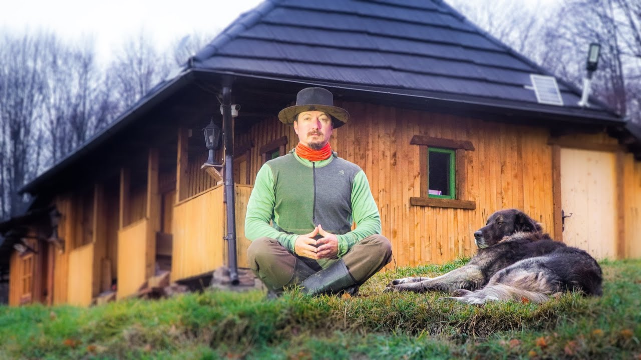 Trăiesc Viața la care am Visat! Răspund la Întrebări - Ep352