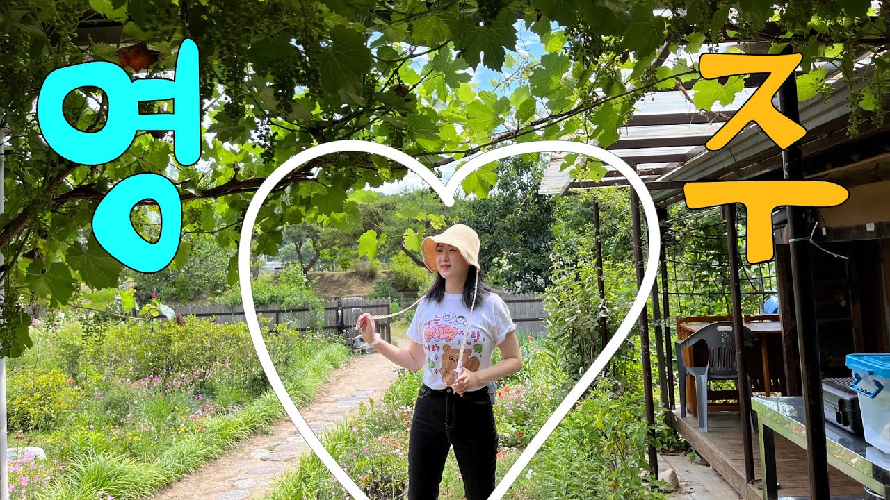 2박3일 경북영주 여행 I 무섬마을 김욱가옥에서 숙박기 I 부석사 탐방 I 소수서원과 선비촌까지 I 여름휴가 지금바로 떠나자! I 퇴사일기