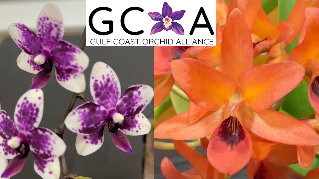 GCOA Feb. 2026 Member's Meeting