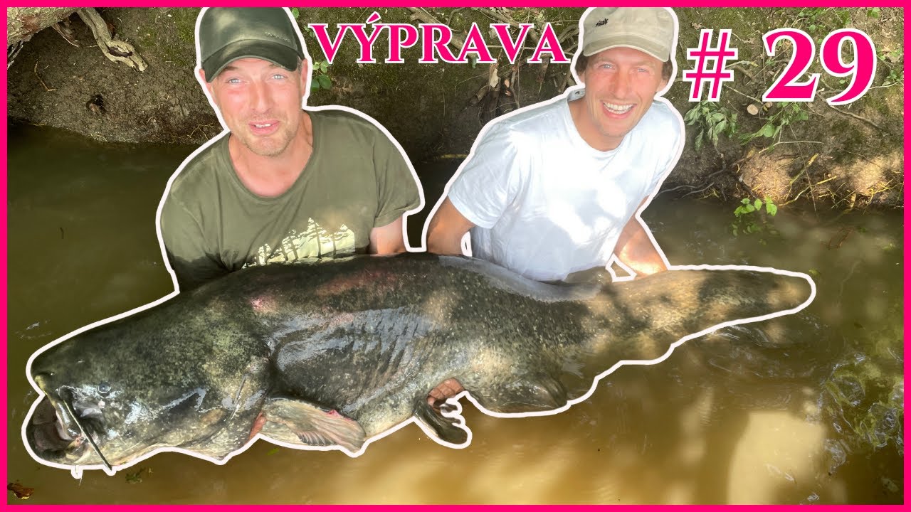 Výprava  # 29