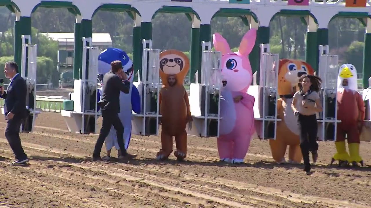 The Great Inflatable Derby - 2022