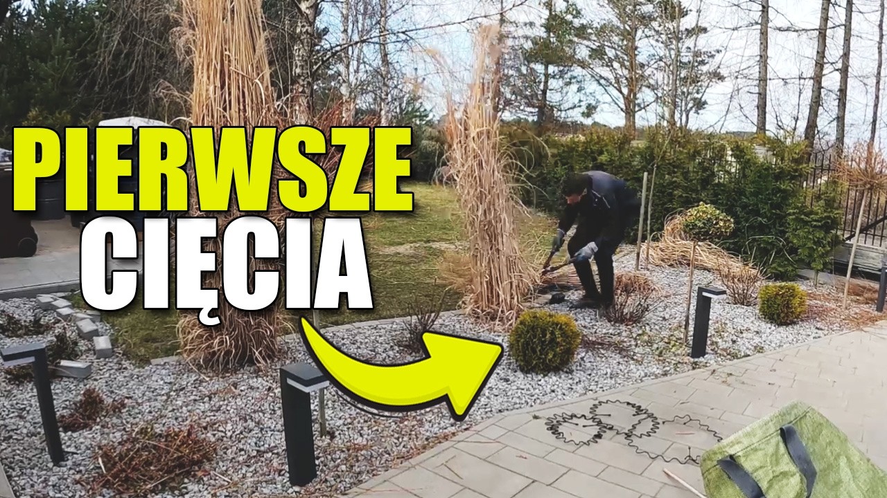 WIOSENNE CIĘCIE W OGRODZIE: hortensje, trawy, lawendy, derenie, hakuro, byliny