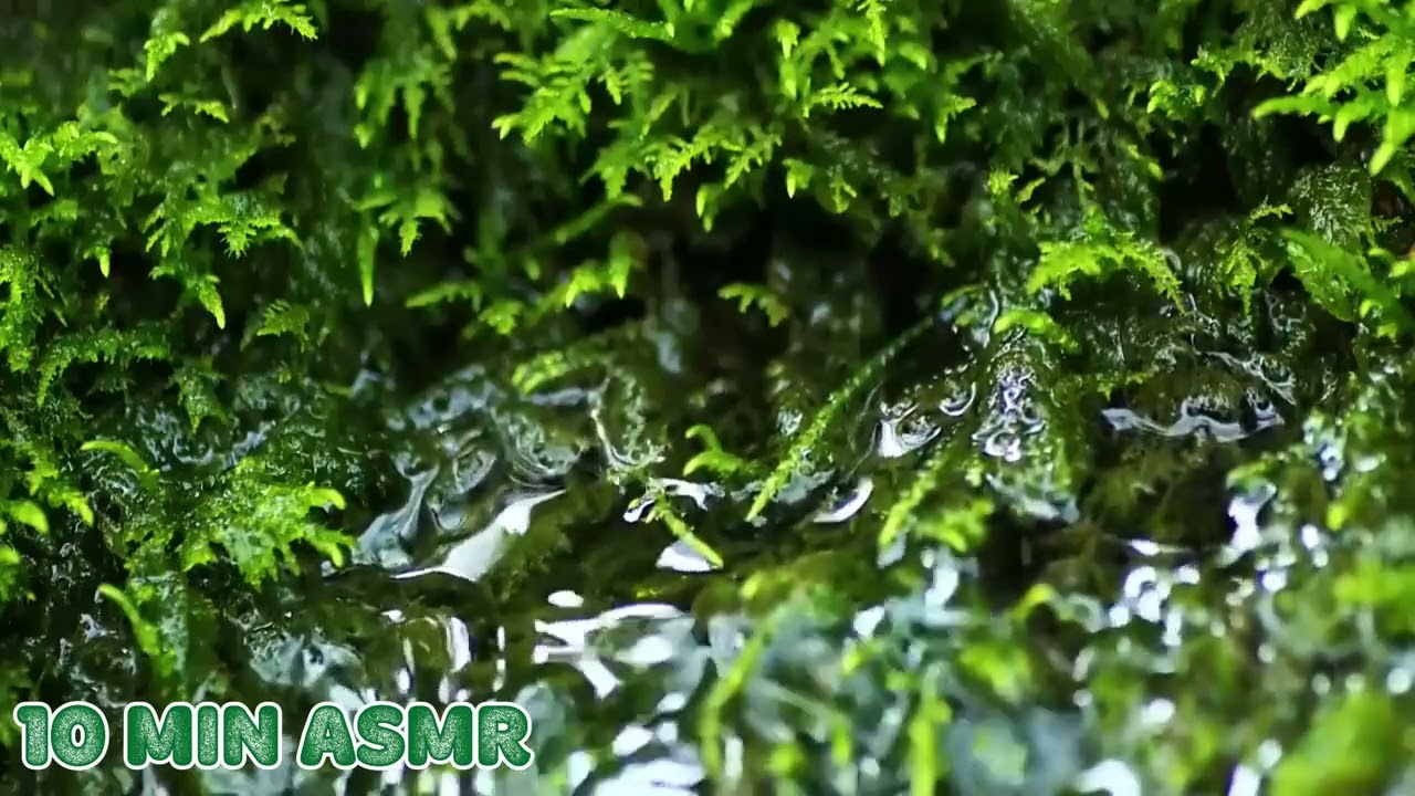 [10MIN ASMR - PART 4] Relaxing Water Sounds | Âm Thanh Tự Nhiên Giúp Ngủ Ngon & Giảm Stress