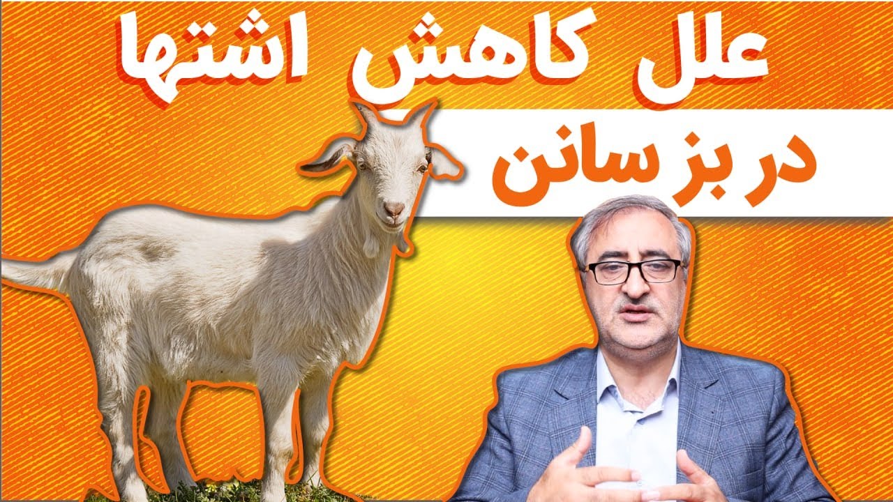 علل کاهش اشتها در بز سانن Causes of decreased appetite in Saanen goats