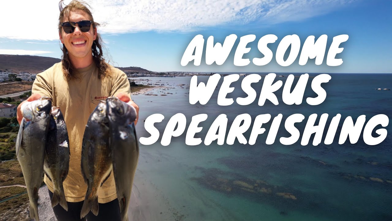 HOTTENTOT SHOOTOUT! - SPEARFISHING SOUTH AFRICA , Catch and Cook