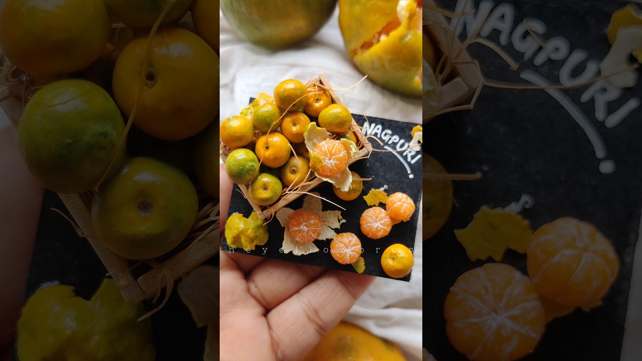 Nagpuri Orange miniature #miniature #fruits #orange #artoftheday #miniaturefood #nagpuri