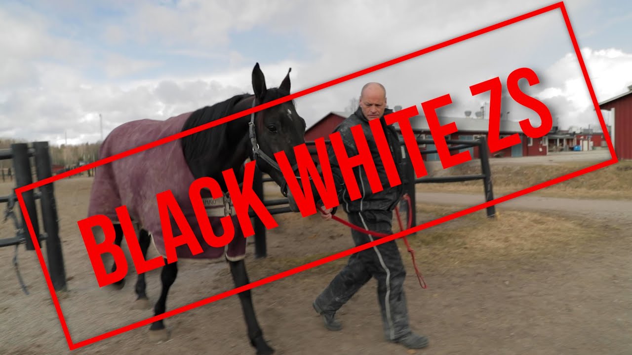 Nu kommer Black White ZS från Italien!