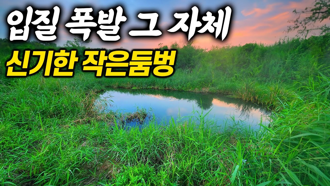 신기한 좁은 둠벙에서 입질이 폭발했다. 순대국밥 맛집