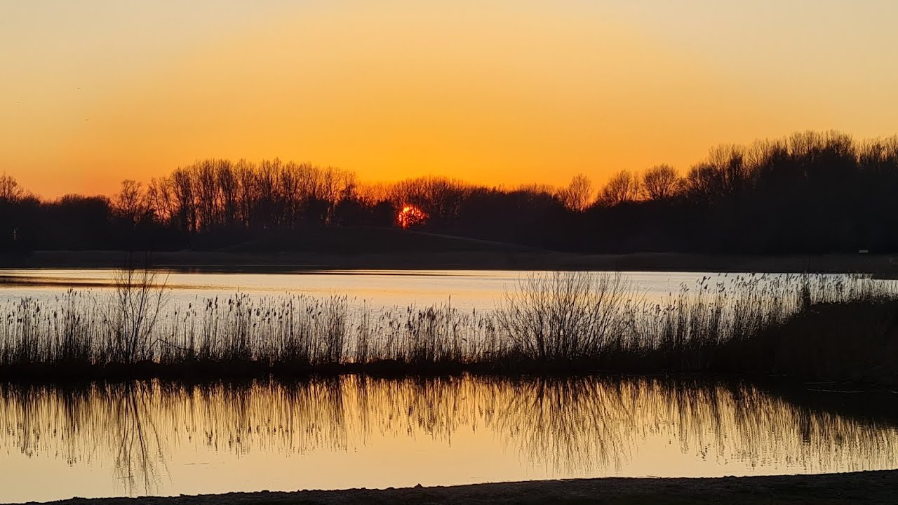 4-3-2025 Geestmerambacht, Noord-Holland, Netherlands. 