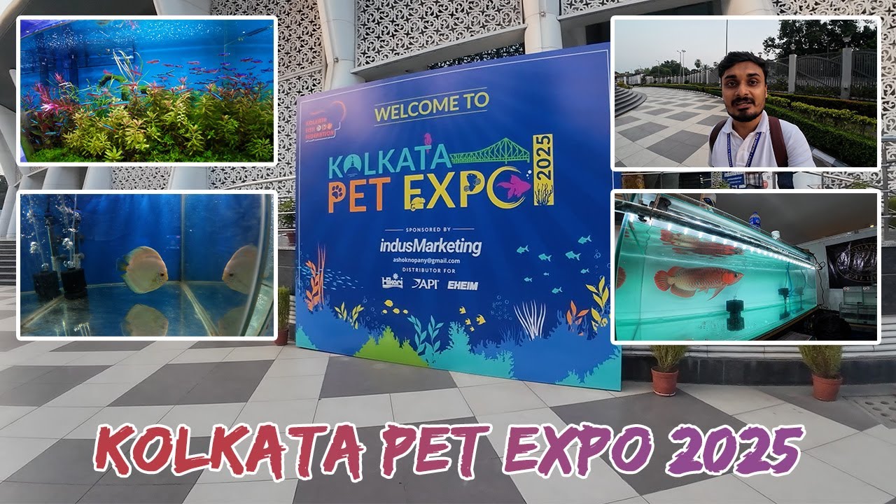 Kolkata Pet Expo 2025 | অপূর্ব সুন্দর FlowerHorn, Betta & Goldfish প্রদর্শনী | Super Red Arowana